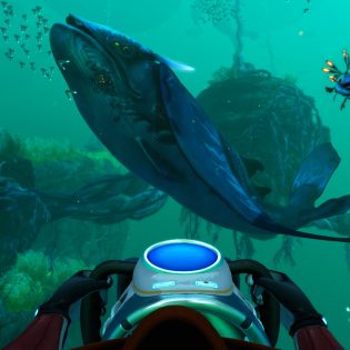 Subnautica: Below Zero